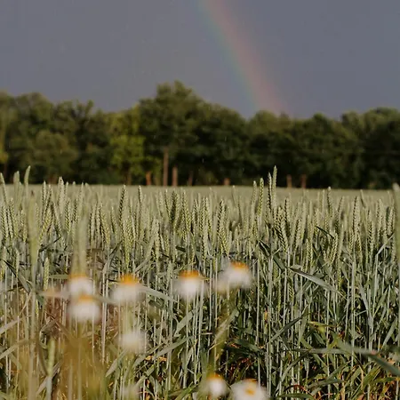 Paerchen Auszeit Am Rande Der Heide Burgunder