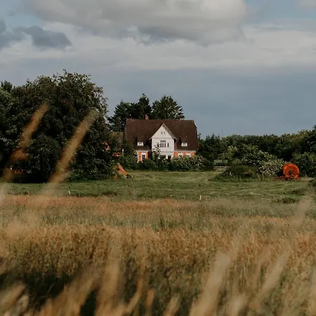 아파트 Paerchen Auszeit Am Rande Der Heide Burgunder Schwienau