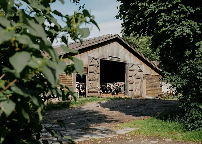 Paerchen Auszeit Am Rande Der Heide Burgunder *
